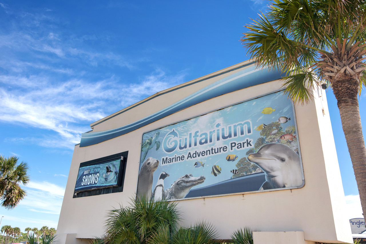 Gulfarium Marine Adventure Park in Seacrest Condominiums Fort Walton Beach